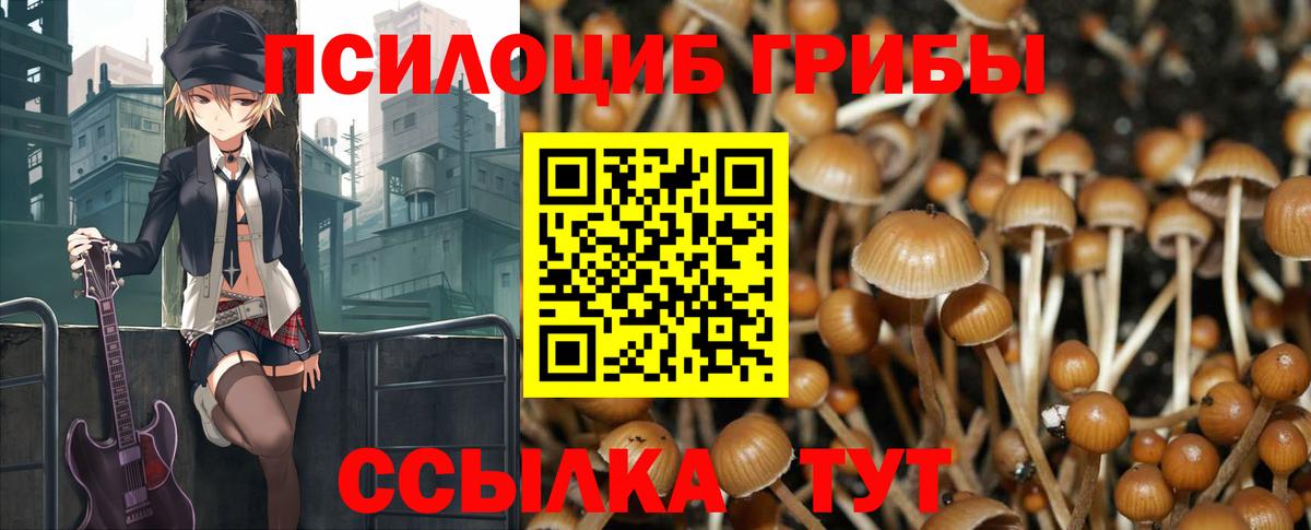 Галлюциногенные грибы MAGIC MUSHROOMS Черняховск