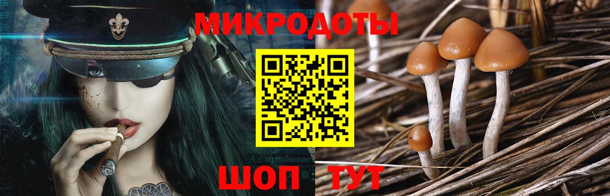 Галлюциногенные грибы GOLDEN TEACHER  наркота  Черняховск  Вход с VPN 